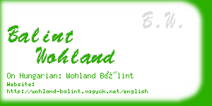 balint wohland business card